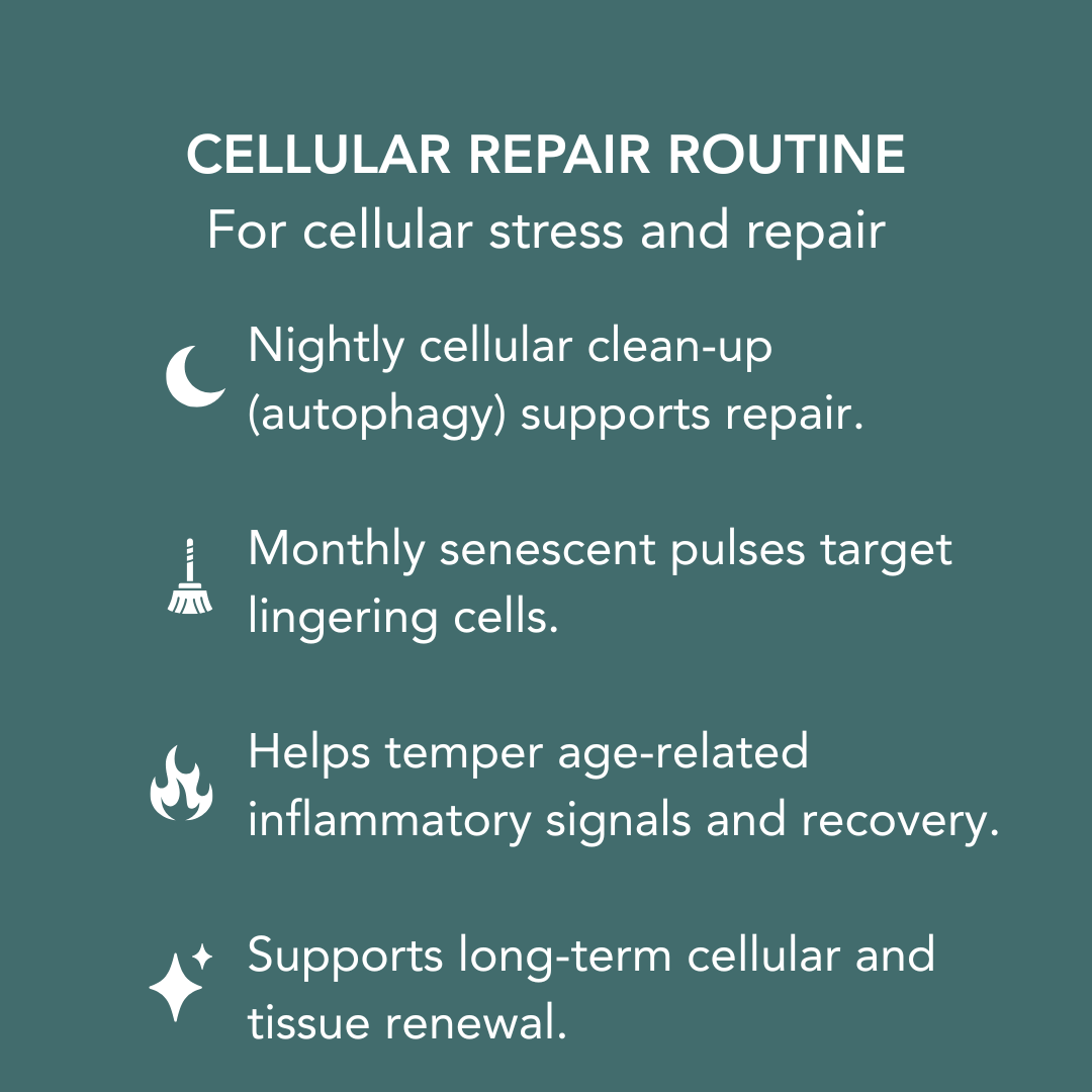 Cellular Repair Routine benefits: nightly autophagy support and monthly senolytic pulse for recovery and long-term resilience