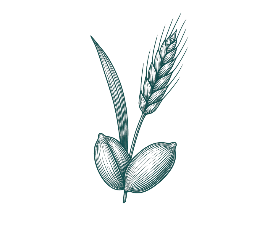 Abstract molecular graphic, representing ceramides