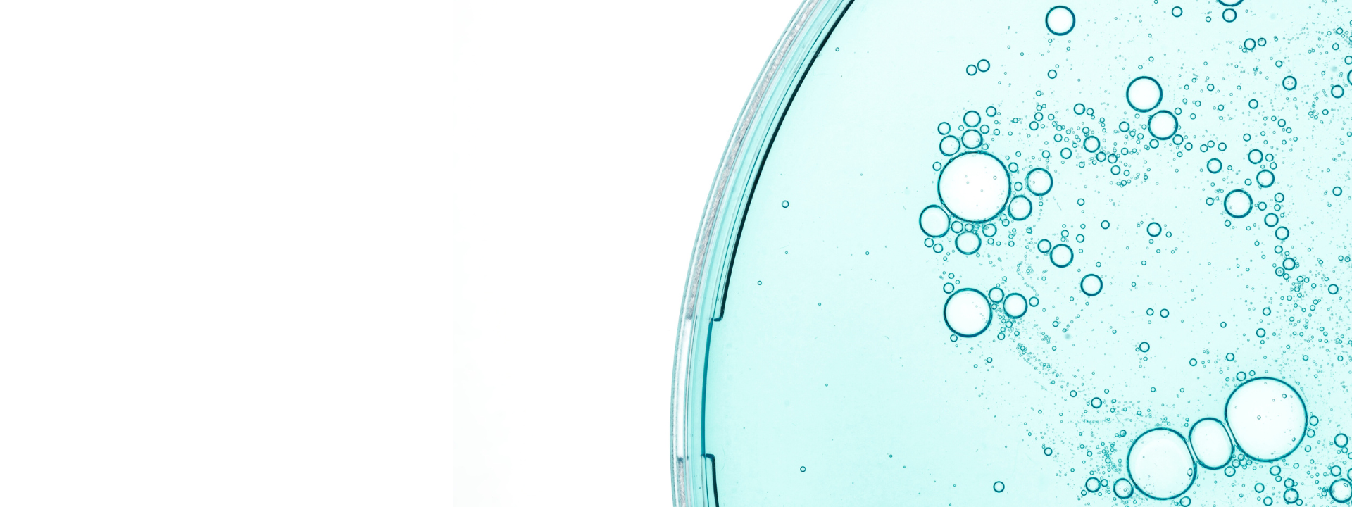 Microscopic view representing cellular processes involved in aging.