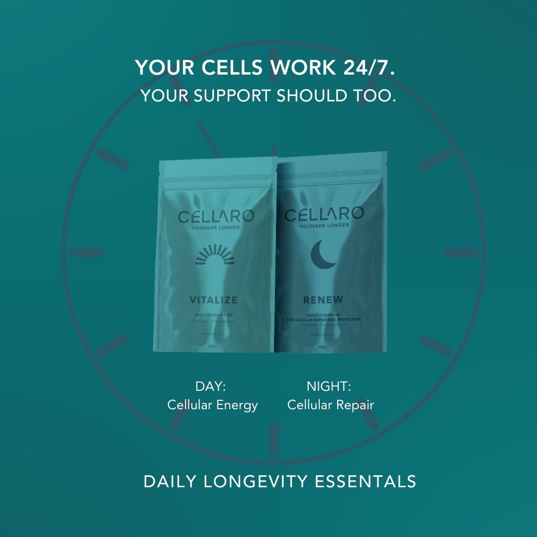 Cellaro Daily Longevity Essentials with VITALIZE (cellular energy) and RENEW (cellular repair) in a 24/7 clock design.