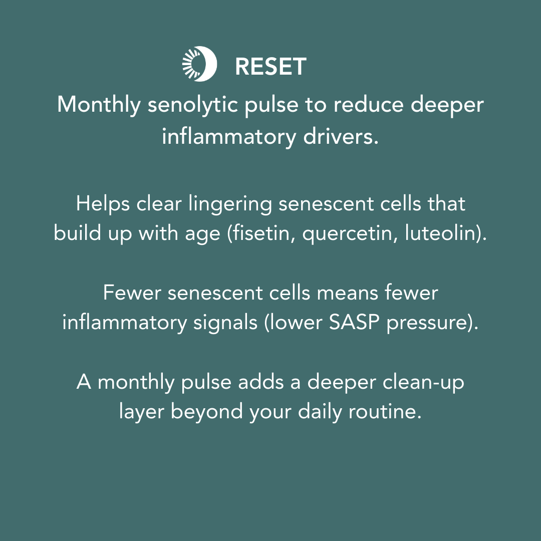 RESET monthly senolytic supplement designed to support cellular clean-up