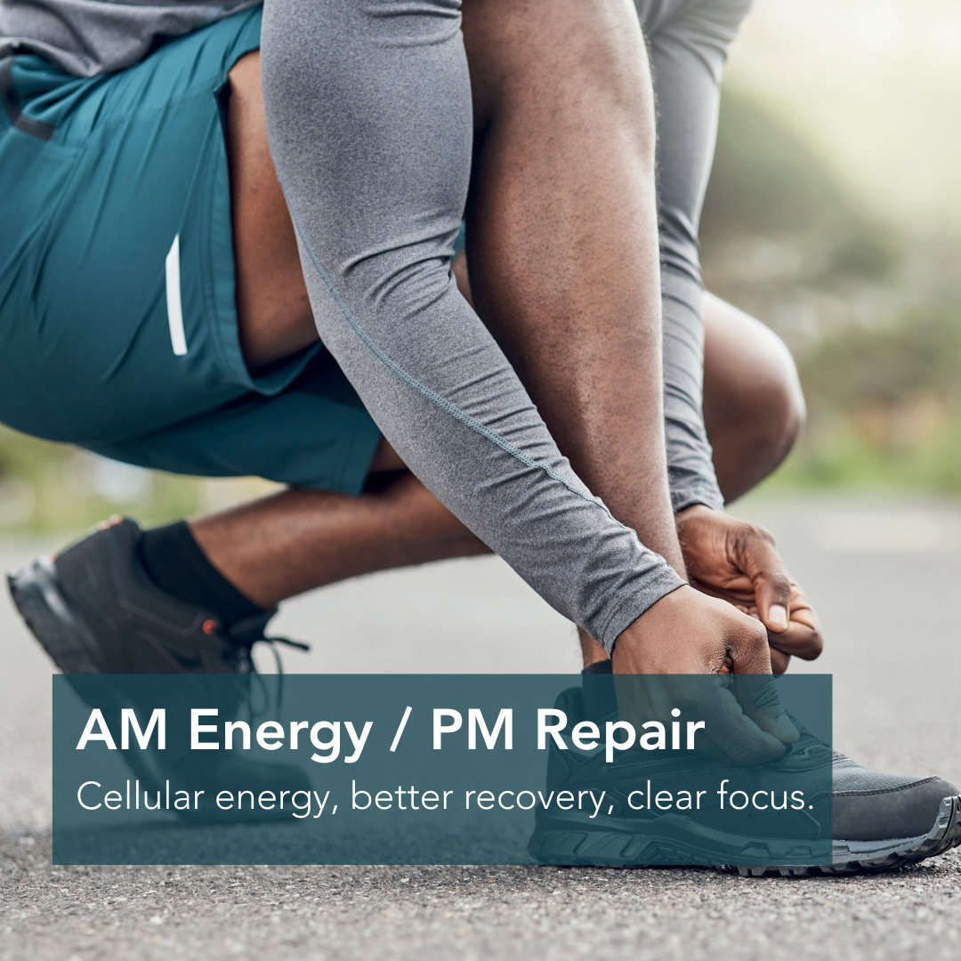 LONGEVITY ESSENTIALS