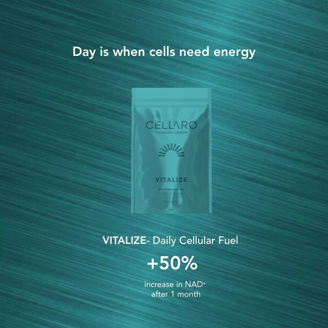 Cellaro VITALIZE supplement supporting daily cellular energy and NAD⁺ levels