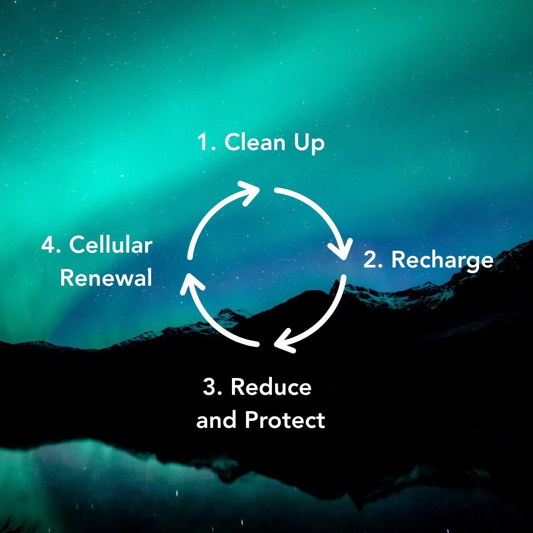 Diagram showing nightly cellular repair cycle: clean-up, recharge, reduce stress, and renewal