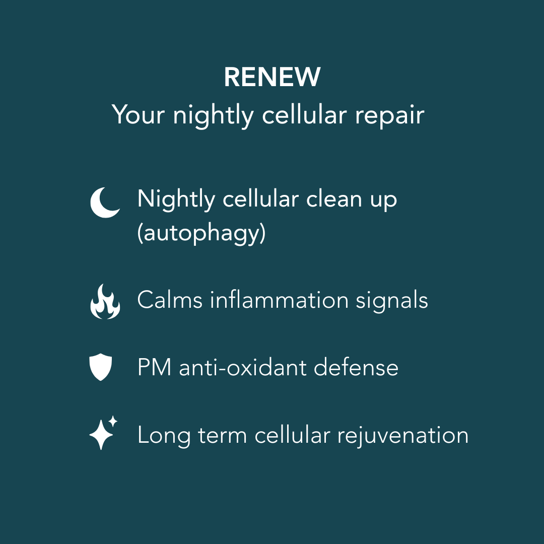 Overview of RENEW nightly cellular repair benefits, including autophagy support, inflammation reduction, antioxidant defense, and cellular rejuvenation