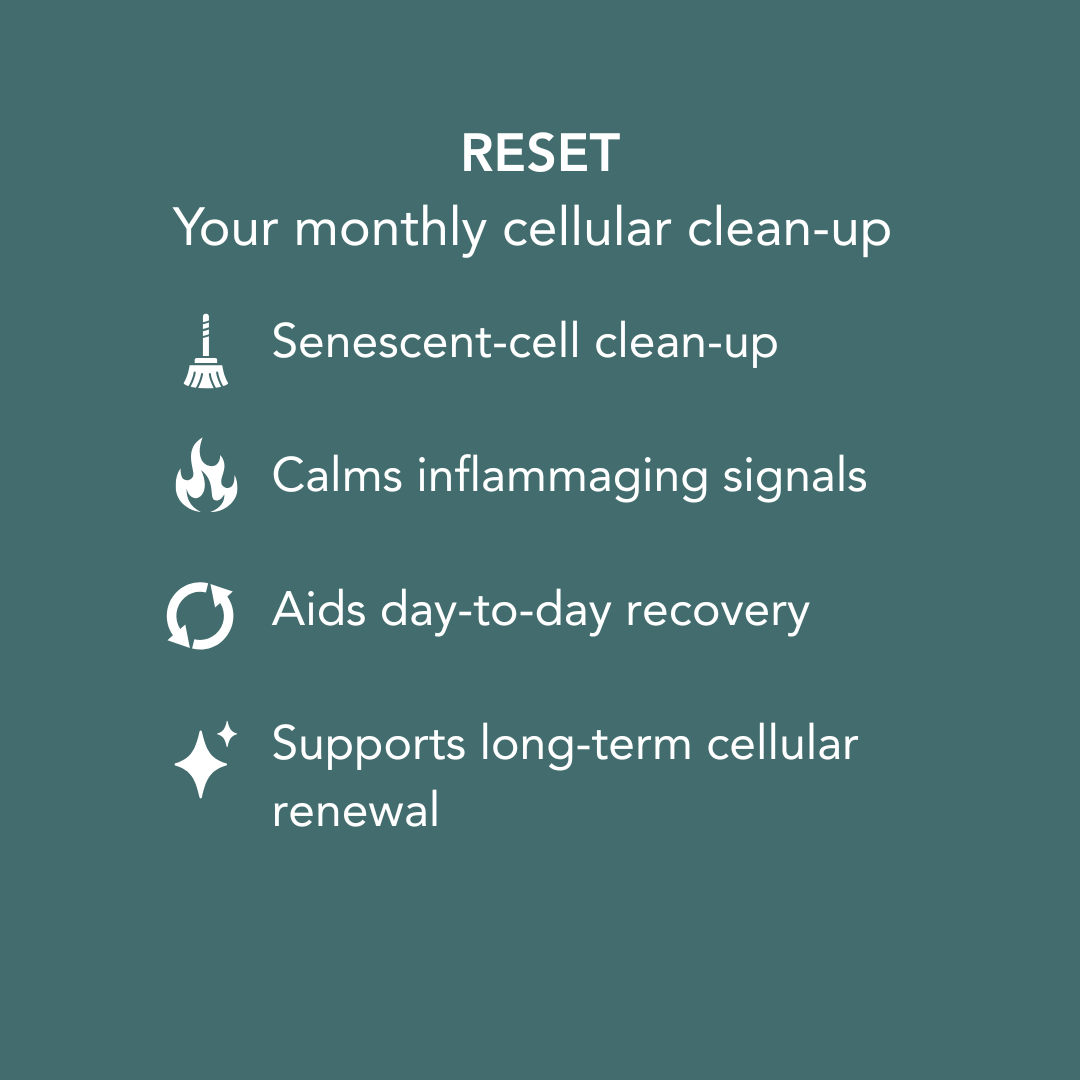 Cellaro RESET benefit overview card: monthly cellular clean-up, supports senescent cell clean-up, helps calm inflammaging signals, and supports long-term cellular renewal.