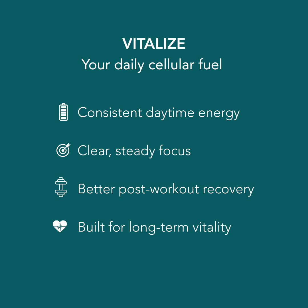 VITALIZE benefits card listing consistent daytime energy, steady focus, post-workout recovery, and long-term vitality