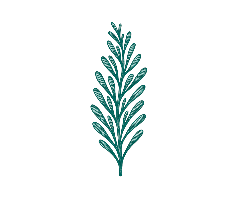 Botanical sprig illustration representing astaxanthin