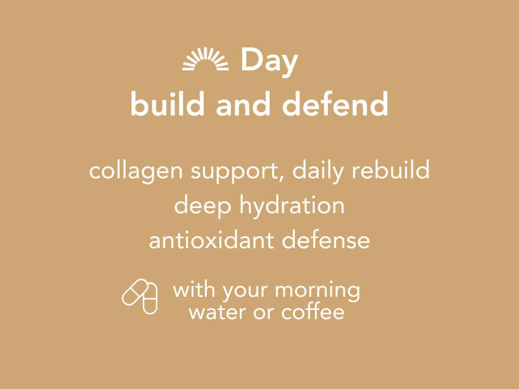 Daytime skin support with BOOST for collagen hydration and antioxidant defense