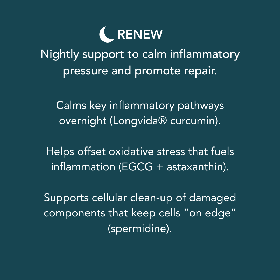 RENEW nightly supplement supporting cellular repair and inflammation balance