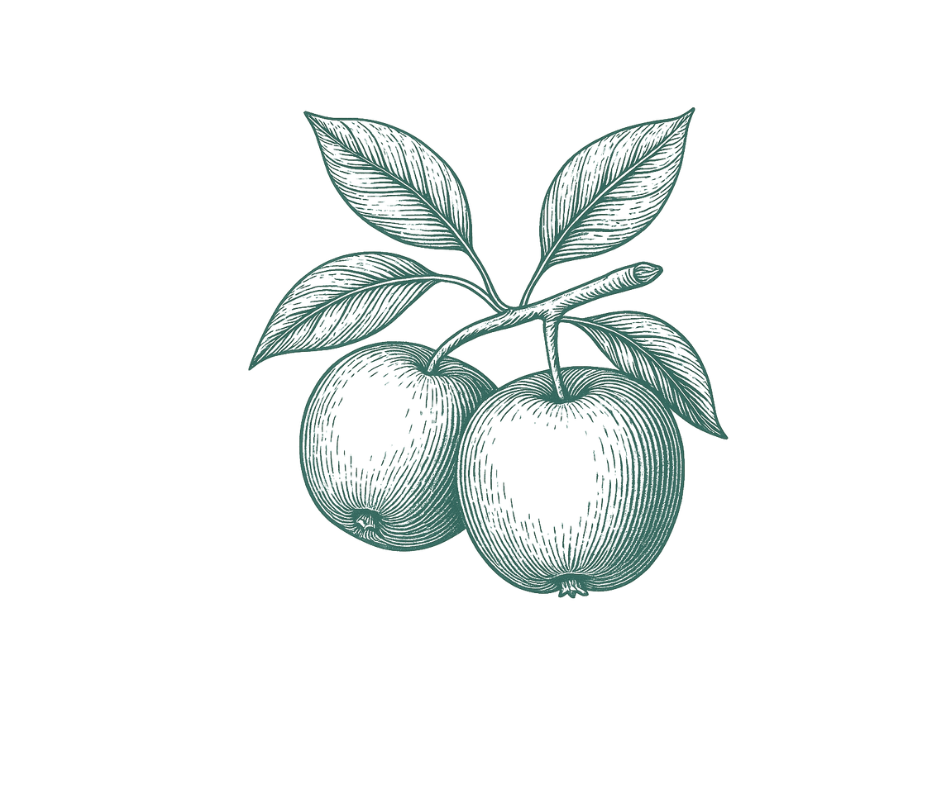 Apple illustration representing quercetin
