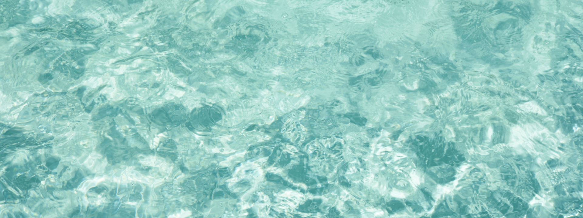 Timeline showing progressive senescent cell clearance and cellular renewal over one to six months