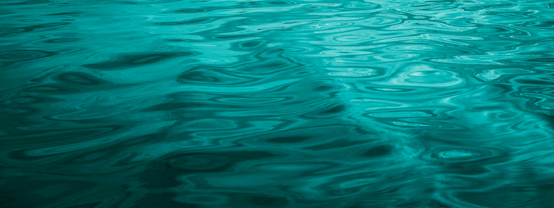 Timeline showing expected VITALIZE progress at month 1, month 3, and month 6 for energy, clarity, recovery, and endurance