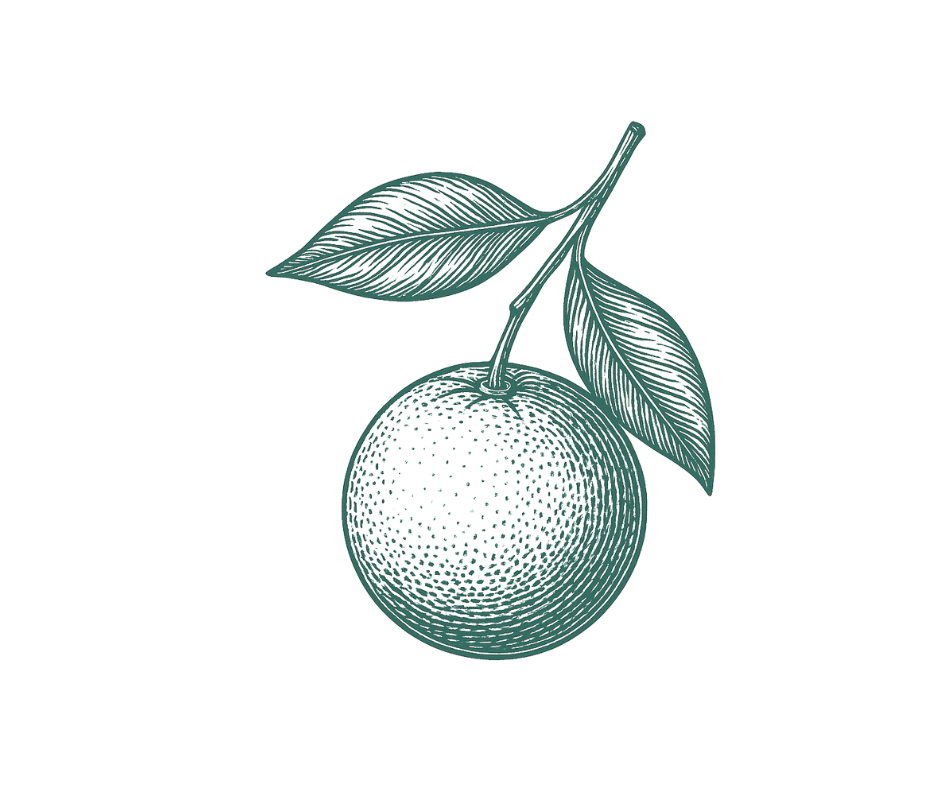 Illustration  of an orange, representing vitamin C