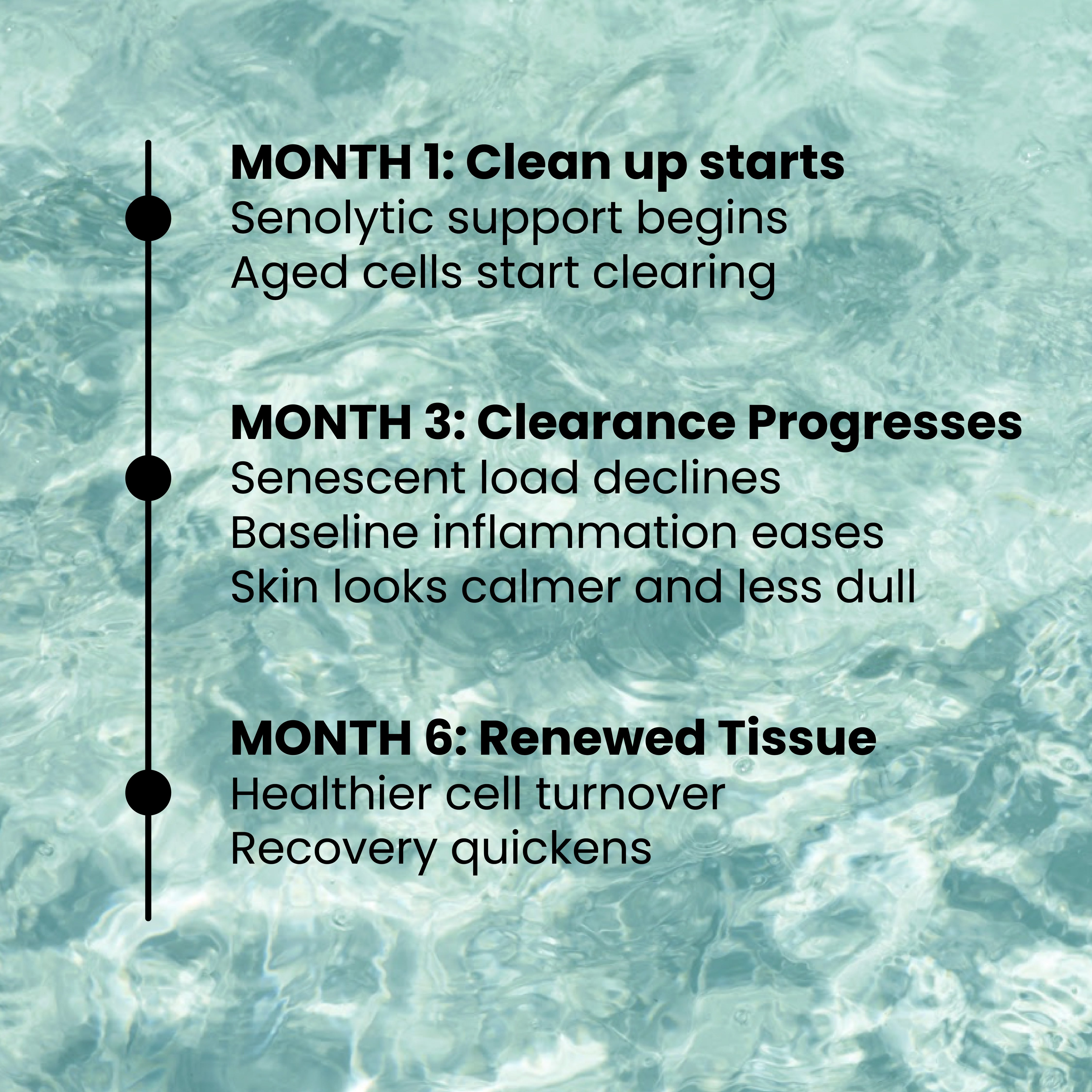 Timeline showing progressive senescent cell clearance and cellular renewal over one to six months